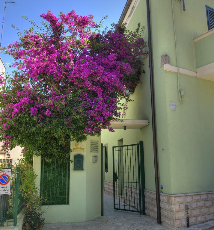 La Casa Del Nonno Campomarino (Campobasso)